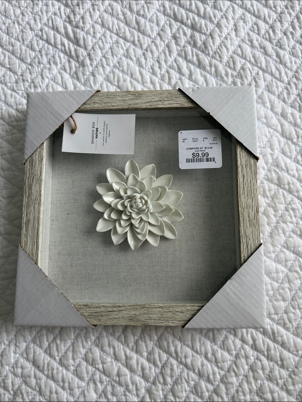 Nature  “Shadow Box “Ceramic Succulent Wall Art - White
